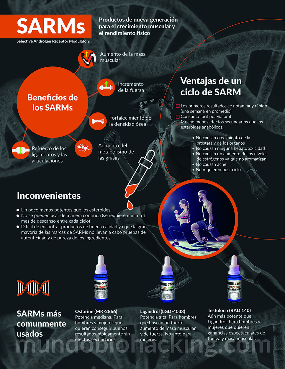 Aprende más sobre los SARMs